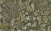 2800 Bravo Place photo